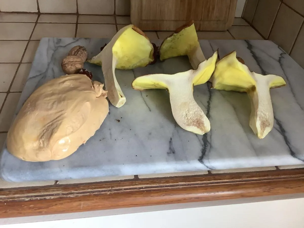 Homestay Sylvie Et Olivier Apartment Saint-Sozy