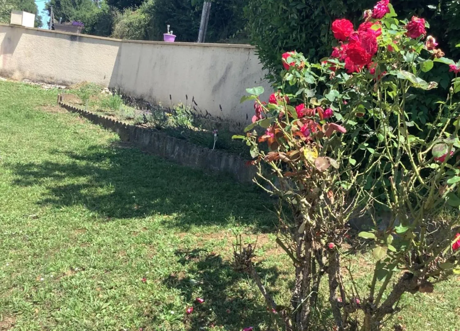 Sylvie Et Olivier Apartment Saint-Sozy Homestay